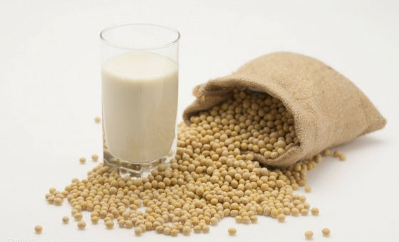 xc sports(中国区)-官方网站